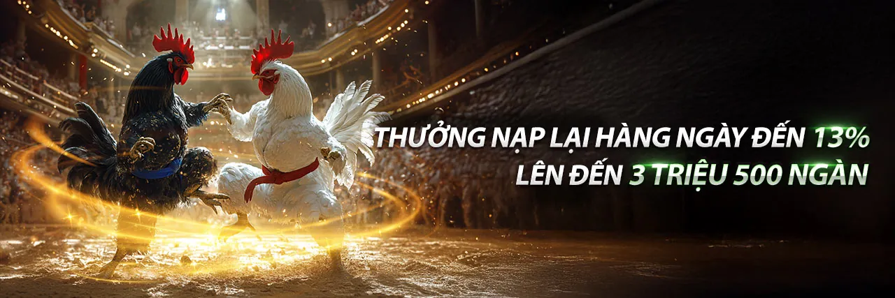 Chương trình VIP sutbong123 login với các ưu đãi độc quyền